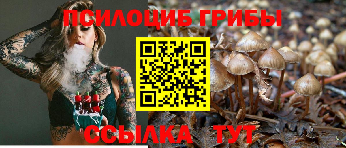 Тында  Галлюциногенные грибы Psilocybine cubensis  Галлюциногенные грибы ЛСД  цена наркотик  Вход с VPN 
